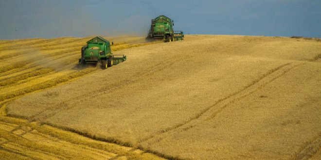 Künstliche Intelligenz gegen Hunger