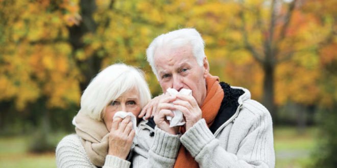 Immunsystem - Immunabwehr bei Senioren stärken